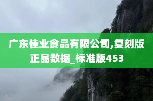 广东佳业食品有限公司,复刻版正品数据_标准版453