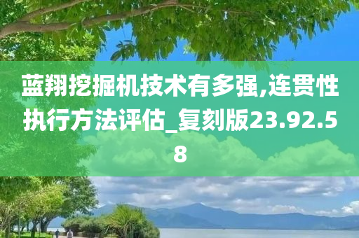 蓝翔挖掘机技术有多强,连贯性执行方法评估_复刻版23.92.58