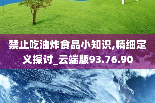 禁止吃油炸食品小知识,精细定义探讨_云端版93.76.90