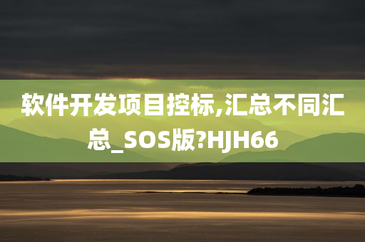 软件开发项目控标,汇总不同汇总_SOS版?HJH66