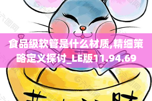 食品级软管是什么材质,精细策略定义探讨_LE版11.94.69