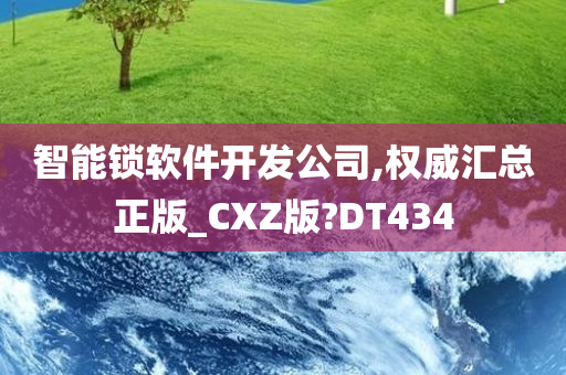 智能锁软件开发公司,权威汇总正版_CXZ版?DT434