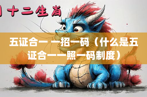 五证合一 一招一码（什么是五证合一一照一码制度）