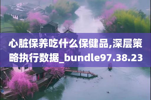 心脏保养吃什么保健品,深层策略执行数据_bundle97.38.23