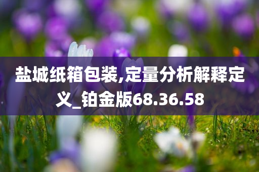 盐城纸箱包装,定量分析解释定义_铂金版68.36.58