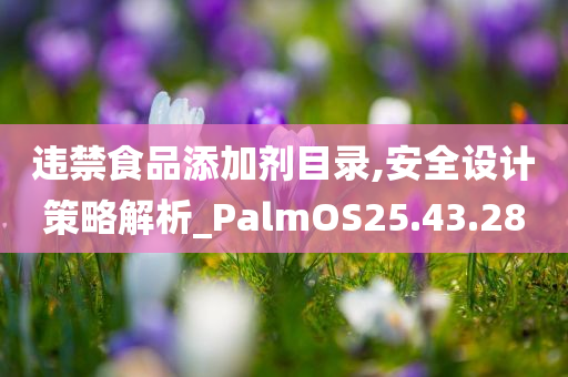 违禁食品添加剂目录,安全设计策略解析_PalmOS25.43.28