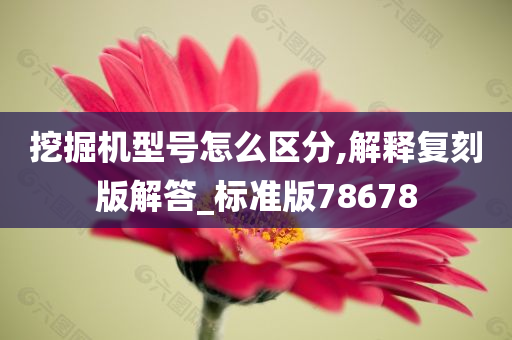 挖掘机型号怎么区分,解释复刻版解答_标准版78678