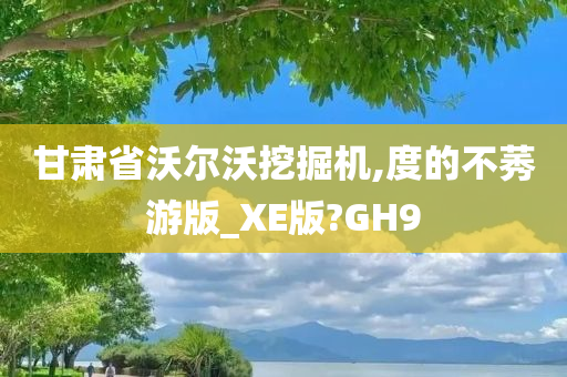 甘肃省沃尔沃挖掘机,度的不莠游版_XE版?GH9