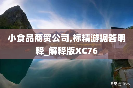 小食品商贸公司,标精游据答明释_解释版XC76