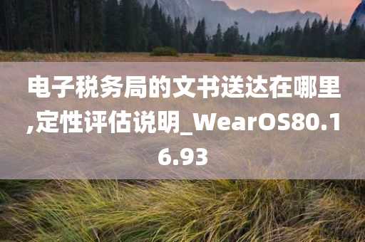 电子税务局的文书送达在哪里,定性评估说明_WearOS80.16.93