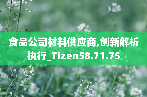 食品公司材料供应商,创新解析执行_Tizen58.71.75