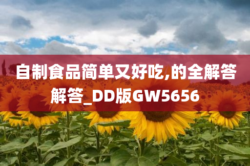 自制食品简单又好吃,的全解答解答_DD版GW5656