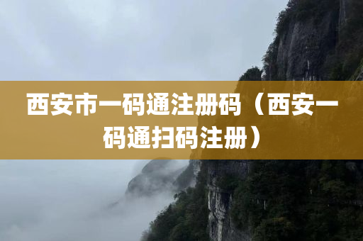 西安市一码通注册码（西安一码通扫码注册）