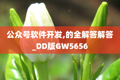 公众号软件开发,的全解答解答_DD版GW5656