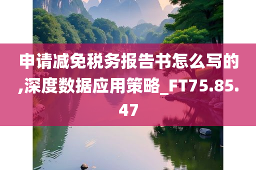 申请减免税务报告书怎么写的,深度数据应用策略_FT75.85.47