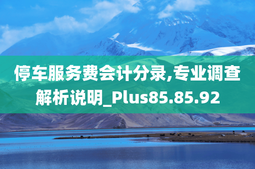 停车服务费会计分录,专业调查解析说明_Plus85.85.92