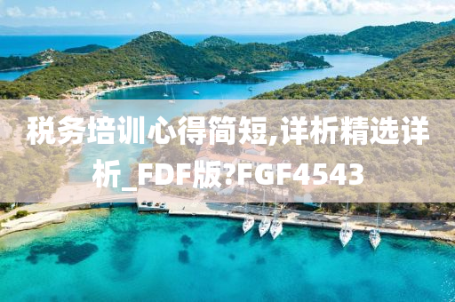 税务培训心得简短,详析精选详析_FDF版?FGF4543