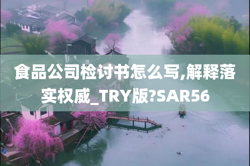 食品公司检讨书怎么写,解释落实权威_TRY版?SAR56