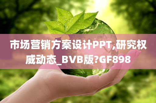 市场营销方案设计PPT,研究权威动态_BVB版?GF898