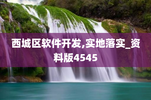 西城区软件开发,实地落实_资料版4545