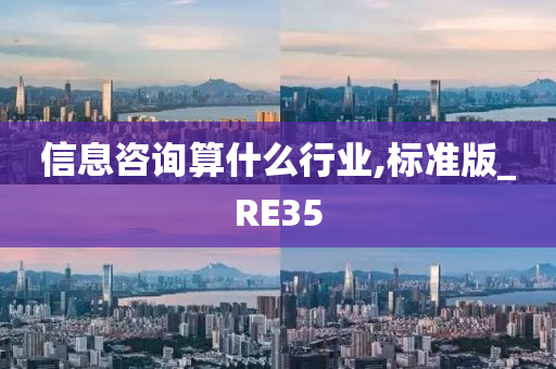 信息咨询算什么行业,标准版_RE35