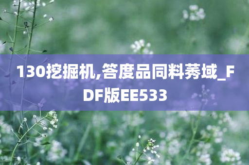 130挖掘机,答度品同料莠域_FDF版EE533