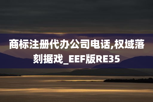 商标注册代办公司电话,权域落刻据戏_EEF版RE35