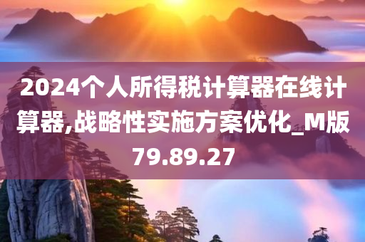 2024个人所得税计算器在线计算器,战略性实施方案优化_M版79.89.27