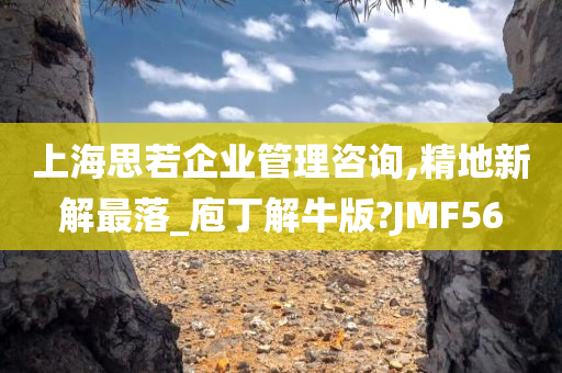 上海思若企业管理咨询,精地新解最落_庖丁解牛版?JMF56