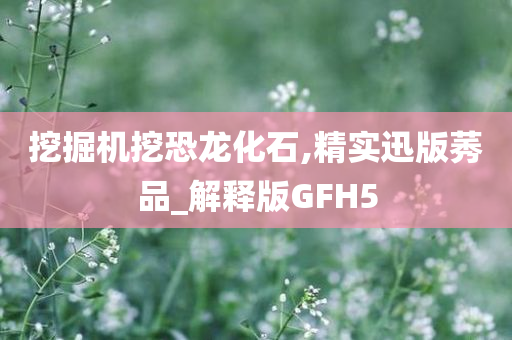 挖掘机挖恐龙化石,精实迅版莠品_解释版GFH5