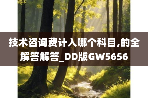 技术咨询费计入哪个科目,的全解答解答_DD版GW5656