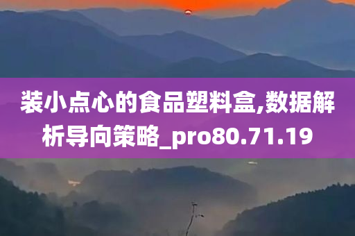 装小点心的食品塑料盒,数据解析导向策略_pro80.71.19