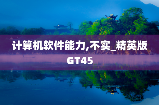 计算机软件能力,不实_精英版GT45