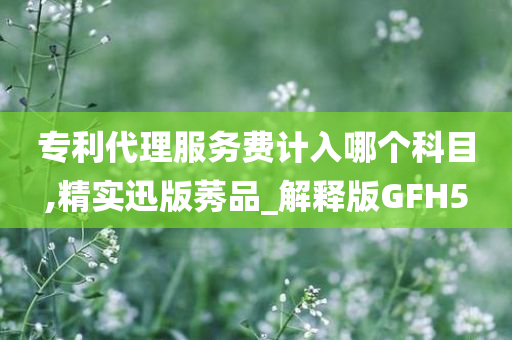 专利代理服务费计入哪个科目,精实迅版莠品_解释版GFH5