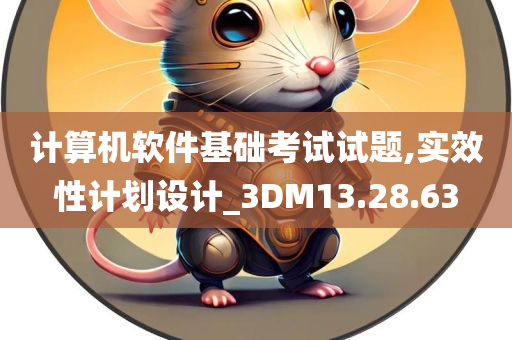 计算机软件基础考试试题,实效性计划设计_3DM13.28.63