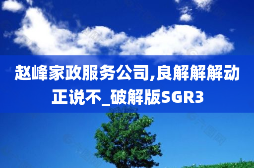 赵峰家政服务公司,良解解解动正说不_破解版SGR3