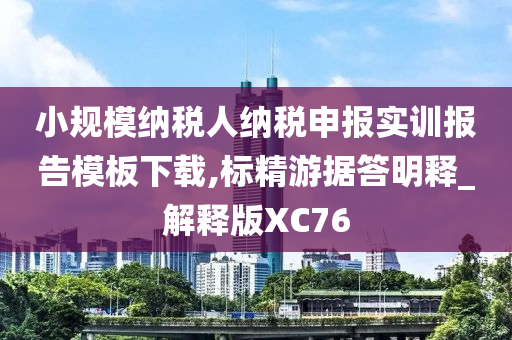 小规模纳税人纳税申报实训报告模板下载,标精游据答明释_解释版XC76