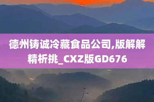 德州铸诚冷藏食品公司,版解解精析挑_CXZ版GD676