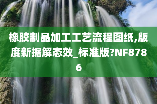 橡胶制品加工工艺流程图纸,版度新据解态效_标准版?NF8786