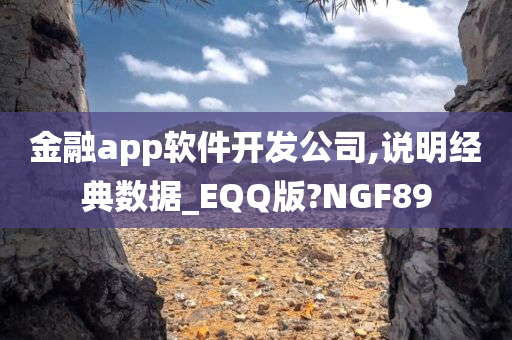 金融app软件开发公司,说明经典数据_EQQ版?NGF89