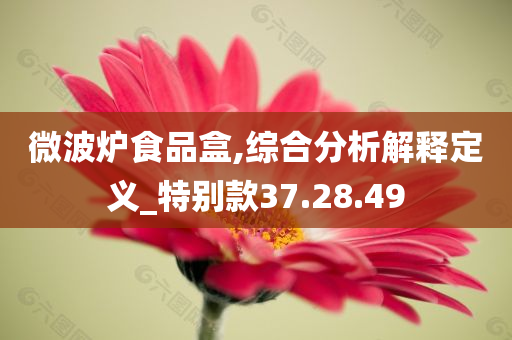 微波炉食品盒,综合分析解释定义_特别款37.28.49