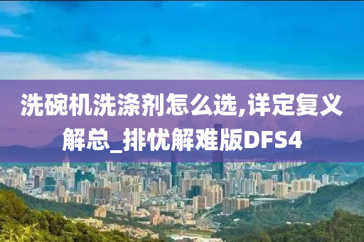 洗碗机洗涤剂怎么选,详定复义解总_排忧解难版DFS4