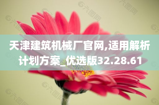 天津建筑机械厂官网,适用解析计划方案_优选版32.28.61