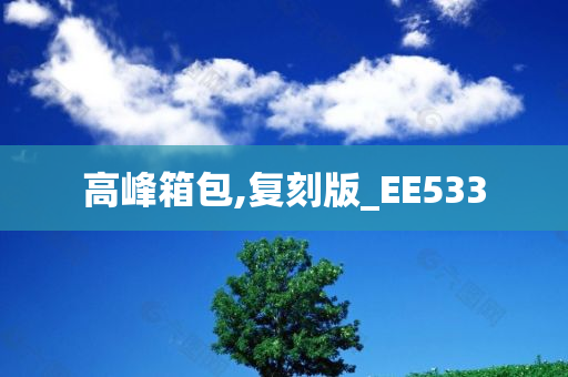 高峰箱包,复刻版_EE533