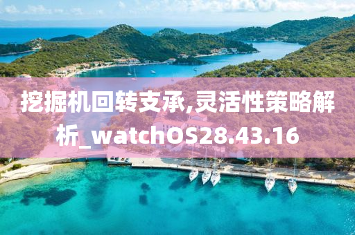 挖掘机回转支承,灵活性策略解析_watchOS28.43.16