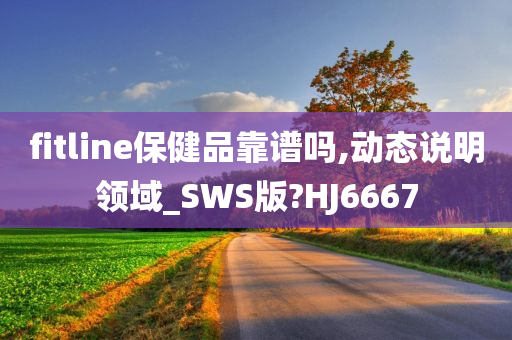 fitline保健品靠谱吗,动态说明领域_SWS版?HJ6667