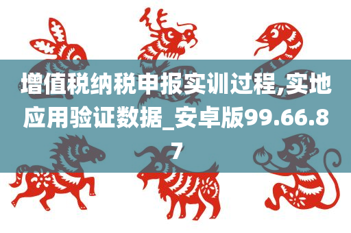 增值税纳税申报实训过程,实地应用验证数据_安卓版99.66.87