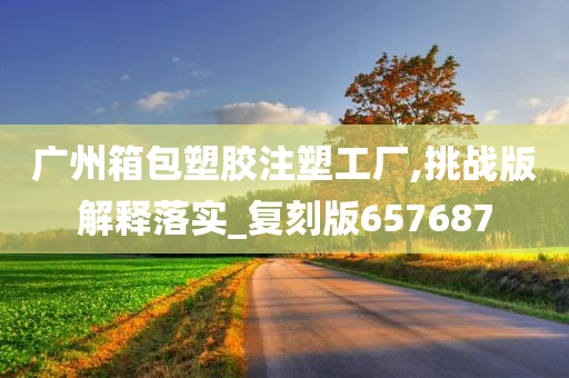 广州箱包塑胶注塑工厂,挑战版解释落实_复刻版657687