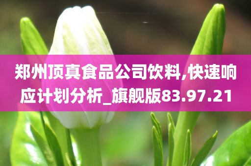 郑州顶真食品公司饮料,快速响应计划分析_旗舰版83.97.21