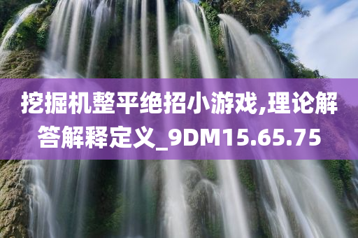 挖掘机整平绝招小游戏,理论解答解释定义_9DM15.65.75